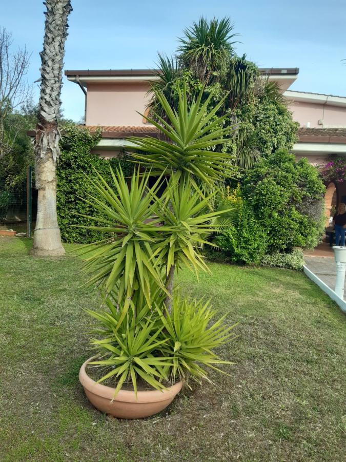 كاسال بالوكو B&B Villa Giovanni المظهر الخارجي الصورة